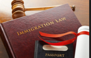 immigration lawyers, immigration law